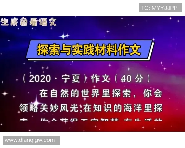 南京排球队创新盯防战术解析与实践探索的深度研究