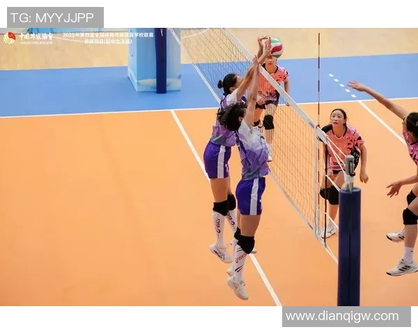 对话赵磊：回顾排球生涯中的荣耀与挑战