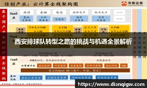 西安排球队转型之路的挑战与机遇全景解析