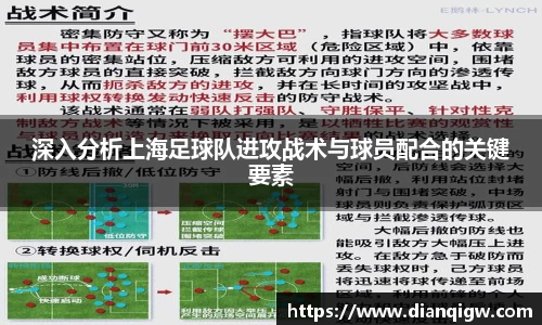 深入分析上海足球队进攻战术与球员配合的关键要素