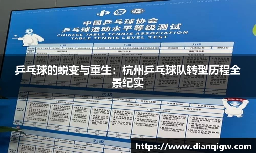 乒乓球的蜕变与重生：杭州乒乓球队转型历程全景纪实