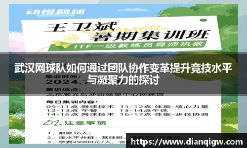 武汉网球队如何通过团队协作变革提升竞技水平与凝聚力的探讨